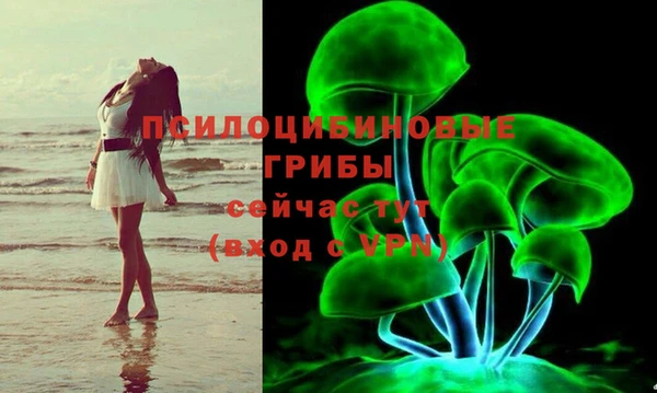 альфа пвп Богородицк