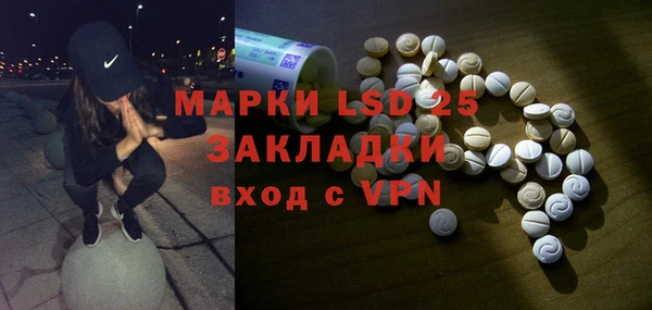 спайс Богданович