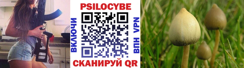 ОМГ ОМГ онион  Будённовск  Псилоцибиновые грибы прущие грибы  сколько стоит 